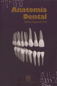 Anatomía dental_cover