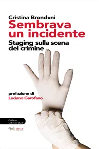 Sembrava un incidente_cover