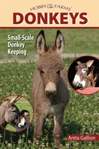Donkeys_cover