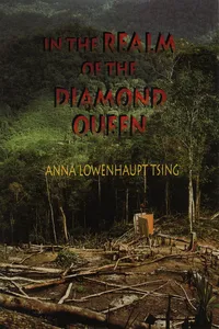 In the Realm of the Diamond Queen_cover