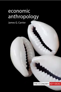 Economic Anthropology_cover