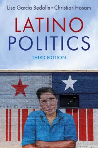 Latino Politics_cover