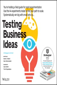 Testing Business Ideas_cover