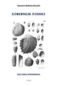 Conchiglie fossili_cover