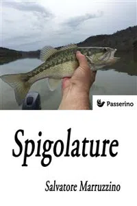 Spigolature_cover