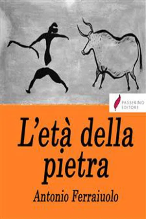 L'età della pietra