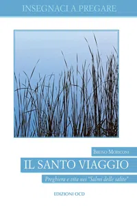 Il Santo viaggio_cover