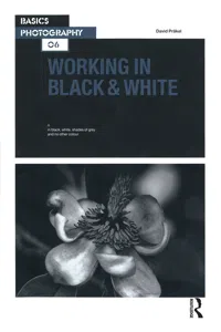 Working in Black & White_cover
