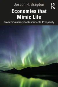 Economies that Mimic Life_cover
