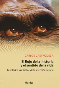 El flujo de la historia y el sentido de la vida_cover