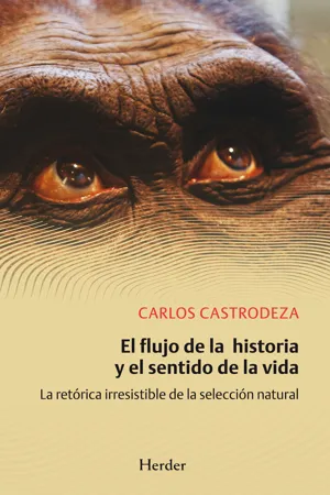 El flujo de la historia y el sentido de la vida