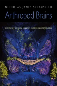 Arthropod Brains_cover