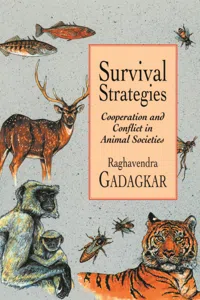 Survival Strategies_cover