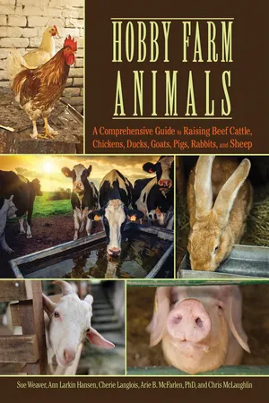 Hobby Farm Animals