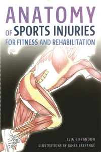 Anatomy of Sports Injuries_cover