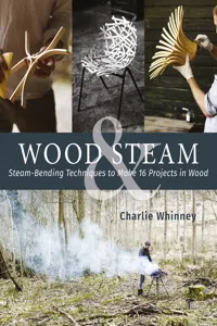 Wood & Steam_cover