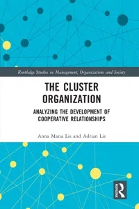 The Cluster Organization_cover