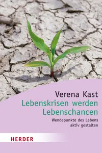 Lebenskrisen werden Lebenschancen_cover