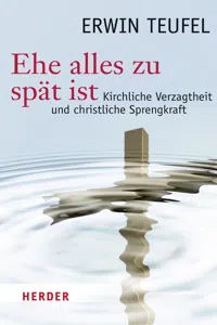 Ehe alles zu spät ist_cover