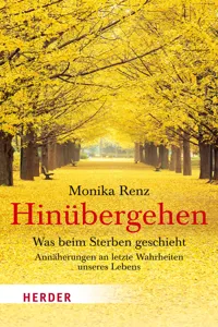 Hinübergehen_cover