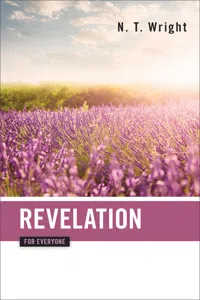 Revelation for Everyone_cover