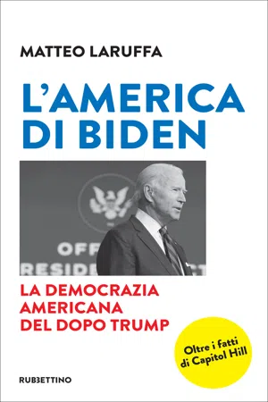 L'America di Biden