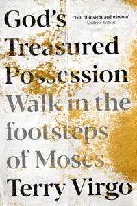 God's Treasured Possession_cover