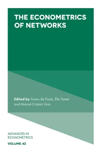The Econometrics of Networks_cover