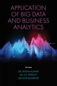 Application of Big Data and Business Analytics_cover