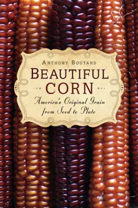 Beautiful Corn_cover