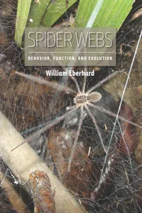 Spider Webs_cover