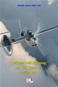 P-38 - p-39 - P-40_cover