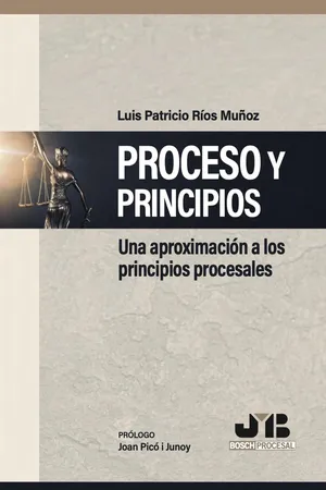 Proceso y Principios