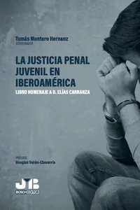 La justicia penal juvenil en Iberoamérica_cover