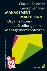 Management Macht Sinn_cover