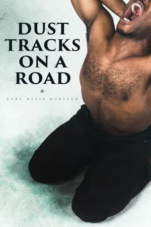 Dust Tracks on a Road