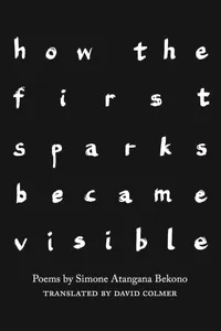 how the first sparks became visible_cover