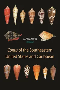 Conus of the Southeastern United States and Caribbean_cover