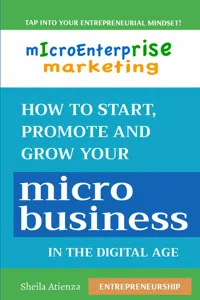 Micro Enterprise Marketing_cover