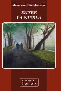 Entre la niebla_cover