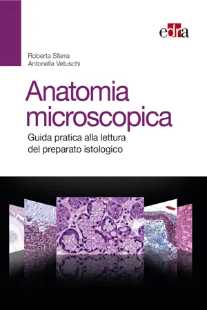 Anatomia microscopica