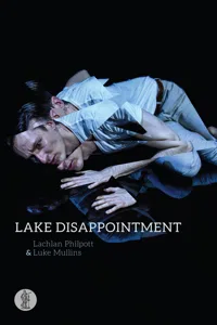 Lake Disappointment_cover