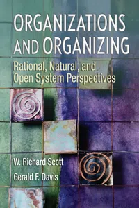 Organizations and Organizing_cover