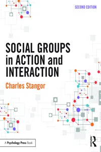 Social Groups in Action and Interaction_cover