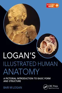 Logan's Illustrated Human Anatomy_cover