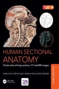Human Sectional Anatomy_cover