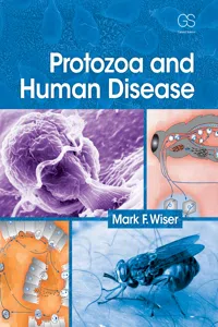 Protozoa and Human Disease_cover