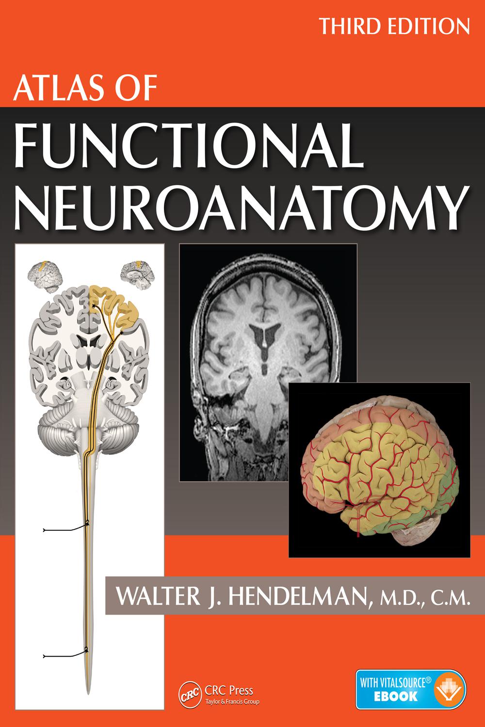 PDF] Atlas of Functional Neuroanatomy by Walter Hendelman M.D.