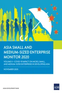 Asia Small and Medium-Sized Enterprise Monitor 2020: Volume II_cover