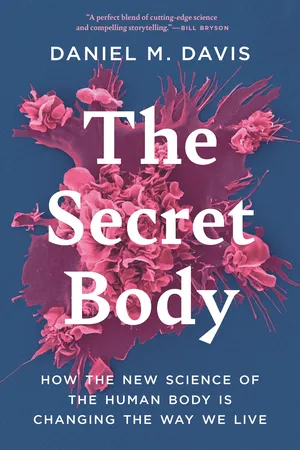 The Secret Body